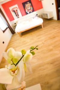 Appartamento immerso nella natura con parcheggio - Ciclamino