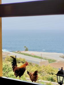 Bollullo Sunset - Bucare