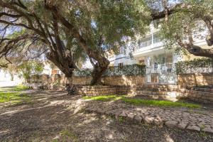 Casa Olivastro Millenario B img32