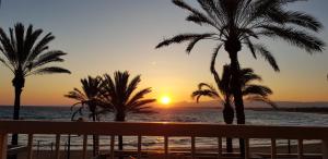 For a Stay Altair Mar