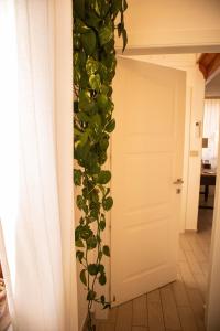 Panorama Guest House img31