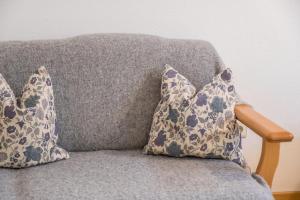 Adlerhorst Blaumeise