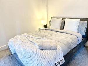 Cosy 1 bedroom flat in Marylebone
