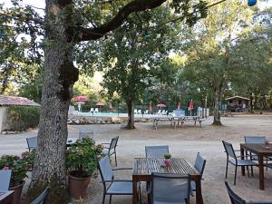Campings Lodges du Bois Dodo - ancien Camping de Bois Redon : photos des chambres
