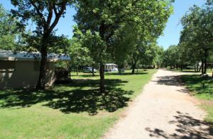 Campings Lodges du Bois Dodo - ancien Camping de Bois Redon : photos des chambres