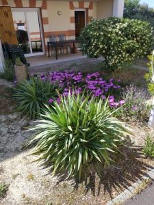 Appartement spacieux Verdon Sur Mer