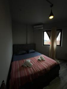 The Rooftop Hostel