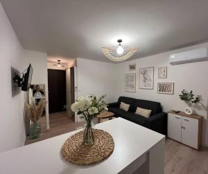 Appartements *La Pampa, Studio, Parking, Clim, Hopitaux/Fac* : photos des chambres