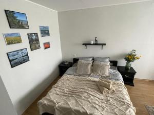 Tapa Guest Apartment