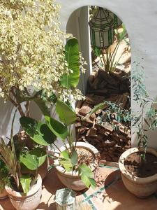 RIAD EN EXCLUSIVITE SUITE MEDINA BY DO