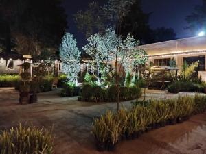 Hotel Express Quinta Soledad