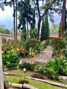 Hotel Express Quinta Soledad