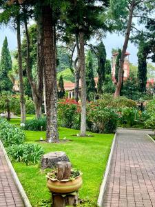 Hotel Express Quinta Soledad