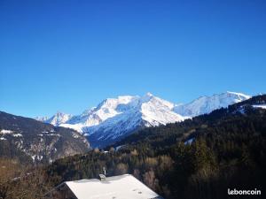 Vue splendide Mont Blanc