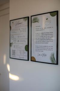 LaraBella Salt fields view studio