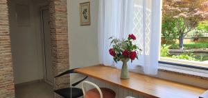 Apartment-Studio-Ginkgo-A1