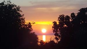 Apartment-Studio-Ginkgo-A1