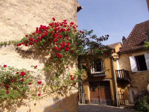 Maisons de vacances Pomponnette : photos des chambres