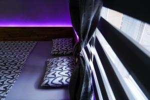 Apartment Wonderland