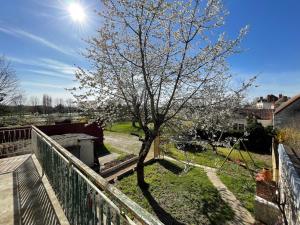 Appartements Le Faubourg des Trois Provinces, Zoo de Beauval : photos des chambres