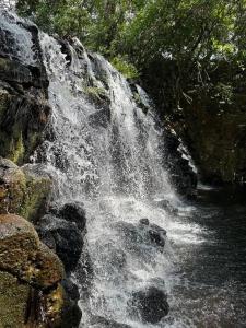 Aqeel cabin in the nature