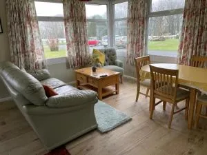 Pine Tree - Hayscastle Cross