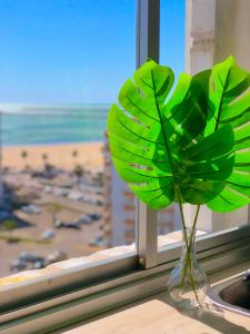 Frente al mar, preciosas vistas, piscinas , valdelagrana