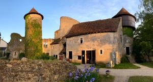 B&B / Chambres d'hotes Chateau d'Ingrandes : photos des chambres