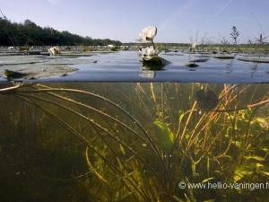 Séjour nature au cœur du Parc de la Brenne: gîte 4 chambres, jardin et terrasse, proche de Rosnay - FR-1-591-141
