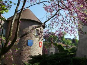 Maisons de vacances Gite Chantraine, 3 pieces, 4 personnes - FR-1-589-27 : photos des chambres