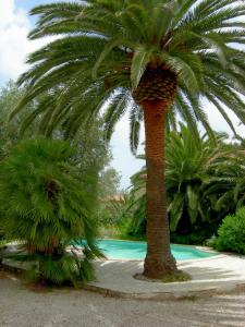 Maisons d'hotes Campagne Beausoleil : photos des chambres