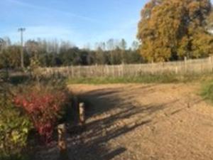 Gîte charmant près du circuit du Mans, 12 pers., 5 ch., rénové avec 3 sdb, nature et attractions proches - FR-1-410-342