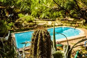 Cabañas de Montaña Rio Amarillo - Miranda