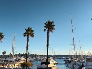 Charmant T2 avec terrasse à 200m des plages - Cavalaire-sur-Mer - FR-1-226B-139