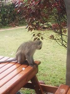 Sea view, self-catering, vacation apartment.