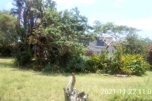 Sea view, self-catering, vacation apartment.