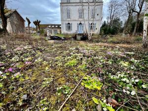 B&B / Chambres d'hotes YXIE - Manoir des Arts : photos des chambres