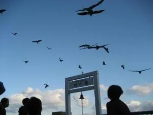 Ijika Daiichi Hotel Kagura - Ōsatu