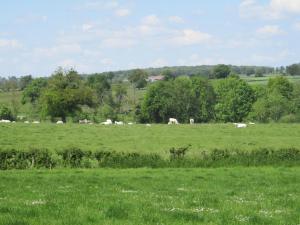 Grande maison ferme rénovée avec SPA et jeux à Cressanges - FR-1-489-442