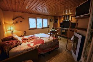 Appartements Les Chouchous du Ried 3 / Proche Europapark : photos des chambres