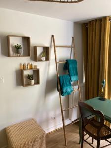 Chambre Cocoon dans une maison avec SPA et jardin en centre ville