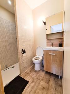Maisons d'hotes Elegante suite a deux pas de la Cite Episcopale d'Albi : photos des chambres