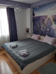 City Apartment