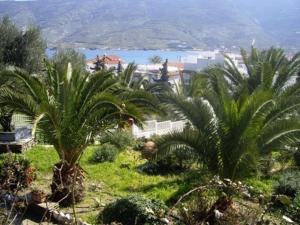 Studios Villa Lontorfou Andros Greece