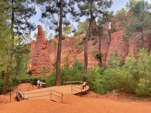 Mas du Clos , Tilleul