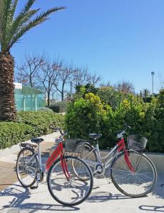 Lungomare della Libertà, 15, 47838 Riccione, Rimini, Italy.