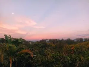 Finca los Martinez - Tamesis - Vereda San Isidro - 拉平塔达