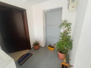 Sunny Apartment