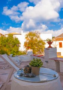 Cotommatae Hydra 1810