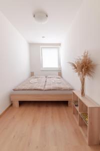 Strawberry Apartment